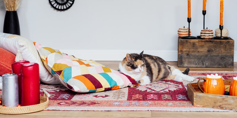 Floor Cushions